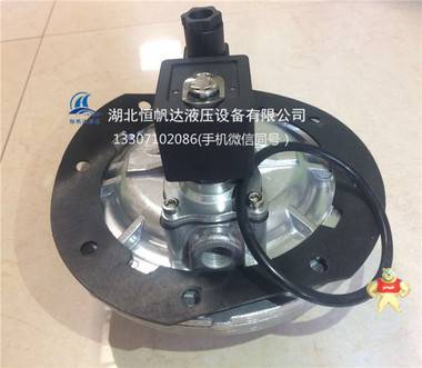 淹沒(méi)式脈沖閥   防爆式脈沖閥 DMF-Z-40S,恒帆達(dá),防爆式脈沖閥,淹沒(méi)式脈沖閥
