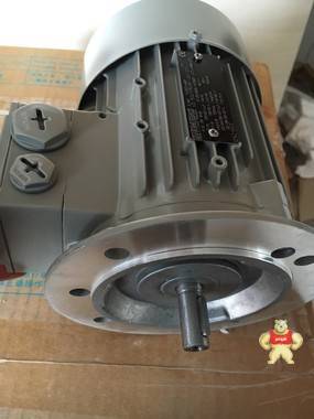 西門子進(jìn)口鋁殼電機(jī) 西門子電機(jī)1LE1001-0DA32-2AA4-Z 1.1KW2極臥式 西門子進(jìn)口電機(jī),西門子進(jìn)口鋁殼電機(jī),西門電機(jī),西門子馬達(dá),進(jìn)口馬達(dá)
