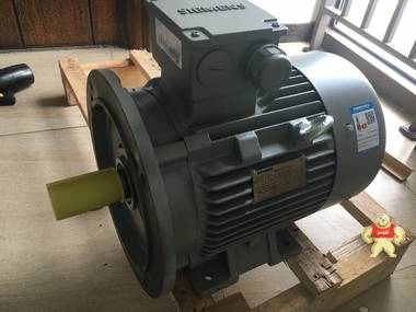 西門子電機(jī) 1LG0113-2AA70-Z 4KW2極臥式 西門子電機(jī),西門子馬達(dá),電動(dòng)機(jī),編碼器電機(jī),剎車電機(jī)