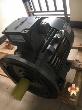 西門子電機(jī) 1LG0113-2AA70-Z 4KW2極臥式 西門子電機(jī),西門子馬達(dá),電動(dòng)機(jī),編碼器電機(jī),剎車電機(jī)