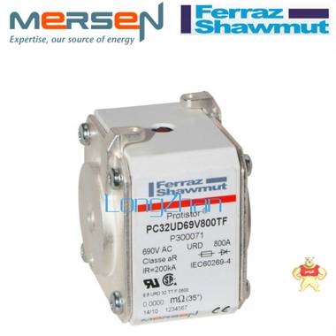 法雷羅蘭熔斷器 6,9URD32EF0500 X300170 6,9URD32EF0450 W300169 69URD32EF0500,X300170,69URD32EF0450,W300169,法雷羅蘭