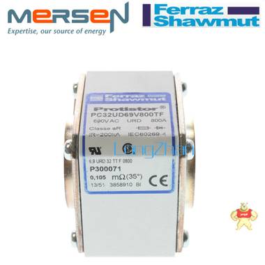 法雷羅蘭熔斷器 6,9URD32EF0500 X300170 6,9URD32EF0450 W300169 69URD32EF0500,X300170,69URD32EF0450,W300169,法雷羅蘭