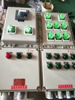 BXMD防爆照明动力配电箱 浙江隆迈防爆电气有限公司