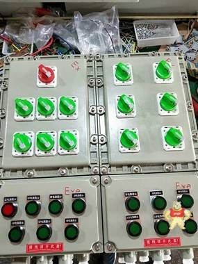 BXMD防爆照明动力配电箱 浙江隆迈防爆电气有限公司 BXMD防爆配电箱,防爆照明配电箱,防爆动力配电箱,不锈钢防爆配电箱,铝合金防爆配电箱