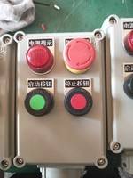 A2B1D2K1L防爆操作柱