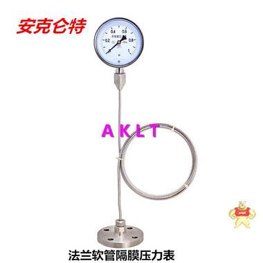 AKLT-YTP100BF法兰软管不锈钢隔膜压力表 _ 耐高温隔膜压力表_耐腐蚀隔膜压力表 耐高温隔膜压力表,耐腐蚀隔膜压力表,防腐蚀压力表