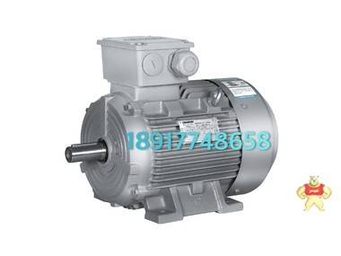 西門子 SIMOTICS SD 低壓電機(jī) 1LE0003-0EB02-1AA4 西門子電機(jī),電機(jī),西門子國產(chǎn)電機(jī),國產(chǎn)電機(jī),晟銳