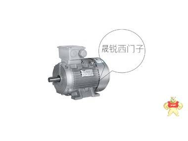 SIEMENS西门子 SIMOTICS SD 低压电机 1LE0003-1BA23-3AA4 西门子电机,电机,原装电机,国产电机,晟锐