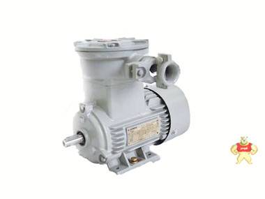 西门子贝得1MB0061防爆电机 1MB0061-1DA33-3AA5 西门子贝得,贝得,贝得电机,国产电机,晟锐电机