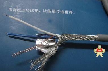 RS485屏蔽電纜 RS485,屏蔽電纜,RS485電纜,485屏蔽電纜,485專用電纜