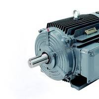 西門子貝得 1TL0003 系列電機(jī) 1TL0003-3BA53-3AA5-Z W08