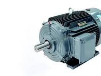 西門子貝得 1TL0003 系列電機(jī) 1TL0003-3BA53-3AA5-Z W08