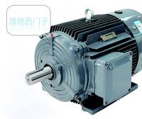 西門子貝得 1TL0003 系列電機(jī) 1TL0003-3BA53-3AA5-Z W08