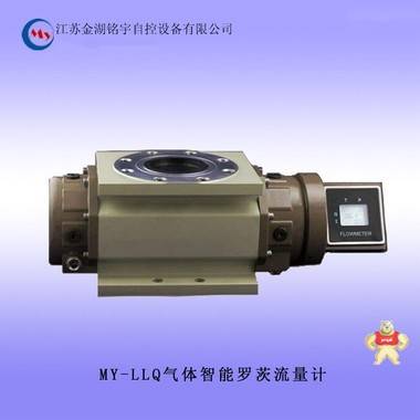 MY-LLQ氣體智能羅茨流量計 氣體智能羅茨流量計,氣體智能羅茨流量計,氣體智能羅茨流量計