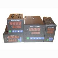 智能数字显示报警仪 XTMA-100 输入信号可为温度 压力 电流 电压等  厂家直销 售后无忧