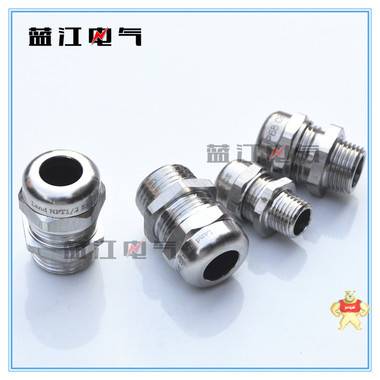 蓝江品牌 不锈钢防水接头 G1/2不锈钢格兰头 DN15管牙电缆固定头四分4分 G1/2不锈钢防爆电缆接头,DN15管牙防水接头,不锈钢电缆格兰头,4分不锈钢防水电缆接头,不锈钢电缆固定头
