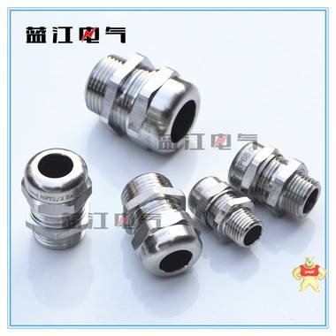 蓝江品牌 不锈钢防水接头 G1/2不锈钢格兰头 DN15管牙电缆固定头四分4分 G1/2不锈钢防爆电缆接头,DN15管牙防水接头,不锈钢电缆格兰头,4分不锈钢防水电缆接头,不锈钢电缆固定头