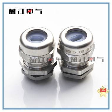 蓝江扁孔葛兰头G1/2G3/4G1不锈钢扁电缆防水接头DN15DN20扁电缆固定头 G1/2不锈钢电缆防水接头,G1扁孔不锈钢电缆密封接头,ND15扁孔电缆固定头,G3/4扁孔防水葛兰头,ND20不锈钢电缆格兰头