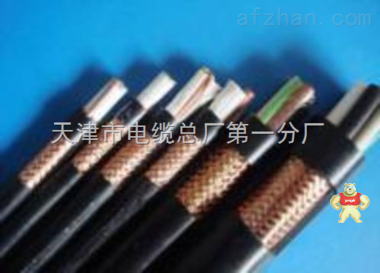 ZR-DJFPFP22耐温铠装仪表电缆规格 ZR-DJFPFP22耐温铠装仪表电缆规格,ZR-DJFPFP22耐温铠装仪表电缆规格,ZR-DJFPFP22耐温铠装仪表电缆规格