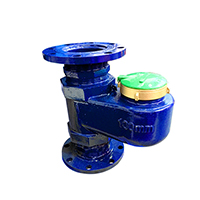 LXSL-100立式水表-DN100立式水表 DN100立式水表,DN100立式水表价格,DN100立式水表厂家,DN100立式水表图片,DN100立式水表现货