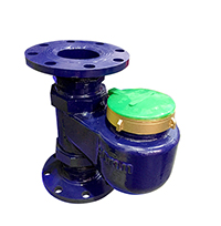 LXSL-100立式水表-DN100立式水表 DN100立式水表,DN100立式水表价格,DN100立式水表厂家,DN100立式水表图片,DN100立式水表现货