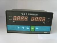 厂家直销 智能双回路测控仪DRWP-D923-022-23/23-HL/HL-2P