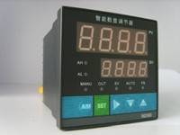 厂家直销 智能显示（峰值）控制仪XMT5200SP