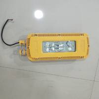 礦用隔爆型LED巷道燈 DGS24/36/48/127L(A) 礦用井下專用LED巷道燈 礦用照明燈