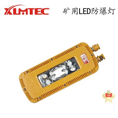 矿用隔爆型LED巷道灯 DGS24/36/48/127L(A) 矿用井下专用LED巷道灯 矿用照明灯 矿用隔爆型LED巷道灯,井下专用LED巷道灯,矿用照明灯,矿用本安型巷道灯,矿用照明灯