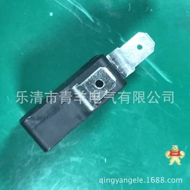 青羊KW7电热水器龙头微动开关 反脚 游戏机 电动螺丝批 电炸炉 开关