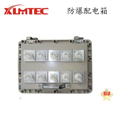 新黎明防爆配電箱 BXM(D) 防爆配電箱 防爆接線箱 防爆控制箱 證書齊全 防爆配電箱,BXMD,防爆照明動(dòng)力配電箱,防爆接線箱,防爆控制箱