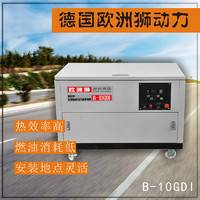 10KW静音汽油发电机 德国品质