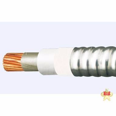 现货供应-西门子PROFIBUS总线电缆6XV1830-0EH10 现货供应-西门子PROFIBUS总线电缆6XV1830-0EH10,现货供应-西门子PROFIBUS总线电缆6XV1830-0EH10,自承式电缆HYAC 200*2*0.4 200*2*0.5,MYPTJ矿用屏蔽监视电缆/厂家,WDZA-HDPYJYJP3仪表电缆