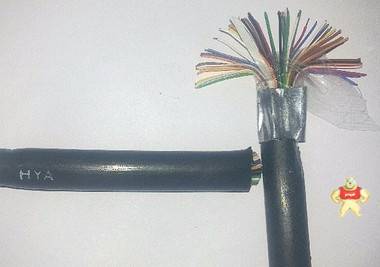 现货供应-西门子PROFIBUS总线电缆6XV1830-0EH10 现货供应-西门子PROFIBUS总线电缆6XV1830-0EH10,现货供应-西门子PROFIBUS总线电缆6XV1830-0EH10,自承式电缆HYAC 200*2*0.4 200*2*0.5,MYPTJ矿用屏蔽监视电缆/厂家,WDZA-HDPYJYJP3仪表电缆