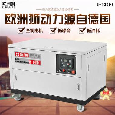 单三相12kw静音汽油发电机 静音汽油发电机,12kw静音汽油发电机,三相汽油发电机,单相汽油发电机,小型汽油发电机