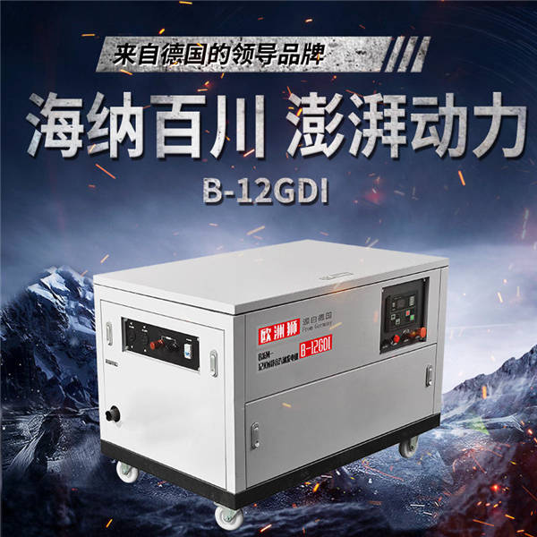 单三相12kw静音汽油发电机 静音汽油发电机,12kw静音汽油发电机,三相汽油发电机,单相汽油发电机,小型汽油发电机