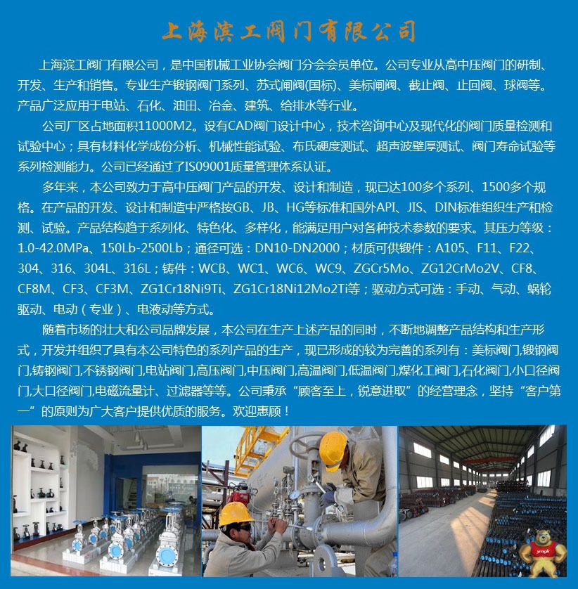 不锈钢闸阀 专业不锈钢法兰闸阀生产 不锈钢闸阀DN100 不锈钢闸阀型号 不锈钢闸阀,不锈钢法兰闸阀,不锈钢闸阀Z41W,不锈钢闸阀厂家