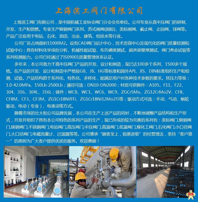 推荐铸钢排渣止回阀PH44H 温州特价排渣止回阀阀 上海铸钢排渣止回阀 铸钢排渣阀 铸钢排渣止回阀,排渣止回阀阀,上海铸钢排渣止回阀