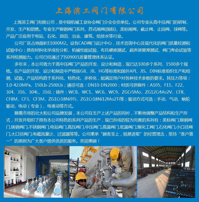 专业300X型缓闭消声止回阀  铸钢300X型缓闭消声止回阀  温州水力控制阀 300X型缓闭消声止回阀,铸钢300X型缓闭消声止回阀,温州水力控制阀