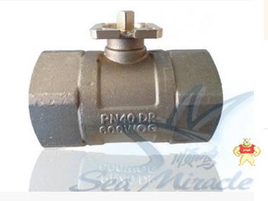 Siemens西门子 VAI61.25-16 二通螺纹全铜电动球阀1寸DN25 西门子