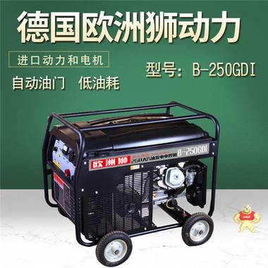 250A汽油发电式电焊机 250A汽油发电焊机,发电式电焊机,便携式发电焊机,发电电焊两用机,发电电焊一体机
