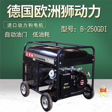 250A汽油发电式电焊机 250A汽油发电焊机,发电式电焊机,便携式发电焊机,发电电焊两用机,发电电焊一体机