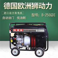 250A汽油发电式电焊机