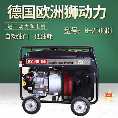 250A汽油发电式电焊机 250A汽油发电焊机,发电式电焊机,便携式发电焊机,发电电焊两用机,发电电焊一体机