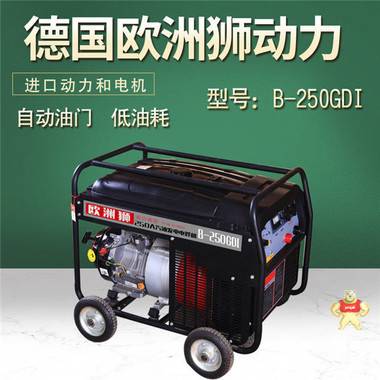 250A汽油发电式电焊机 250A汽油发电焊机,发电式电焊机,便携式发电焊机,发电电焊两用机,发电电焊一体机