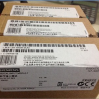 西门子电源模块 SIEMENS PS307 6ES7 307-1KA02-0AA0