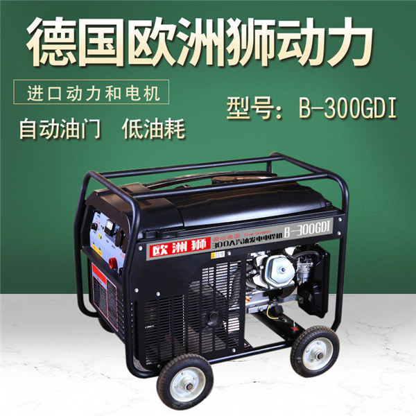 300A发电电焊一体机能花多少钱 汽油发电机,汽油发电焊机,发电电焊一体机
