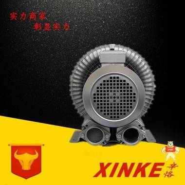 非標(biāo)定制高壓鼓風(fēng)機(jī) 特殊電壓旋渦式鼓風(fēng)機(jī) 特殊頻率環(huán)形鼓風(fēng)機(jī) 漩渦鼓風(fēng)機(jī)