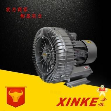 非標(biāo)定制高壓鼓風(fēng)機(jī) 特殊電壓旋渦式鼓風(fēng)機(jī) 特殊頻率環(huán)形鼓風(fēng)機(jī) 漩渦鼓風(fēng)機(jī)