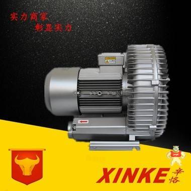 非標(biāo)定制高壓鼓風(fēng)機(jī) 特殊電壓旋渦式鼓風(fēng)機(jī) 特殊頻率環(huán)形鼓風(fēng)機(jī) 漩渦鼓風(fēng)機(jī)